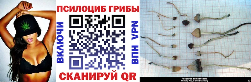 ОМГ ОМГ ссылки  Радужный  Галлюциногенные грибы прущие грибы 