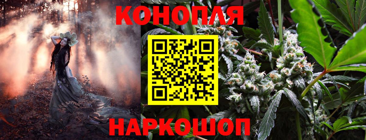 Марихуана SATIVA & INDICA  Вход с VPN  Каннабис планчик  Радужный  Марихуана ГИДРОПОН  Бошки марихуана конопля 